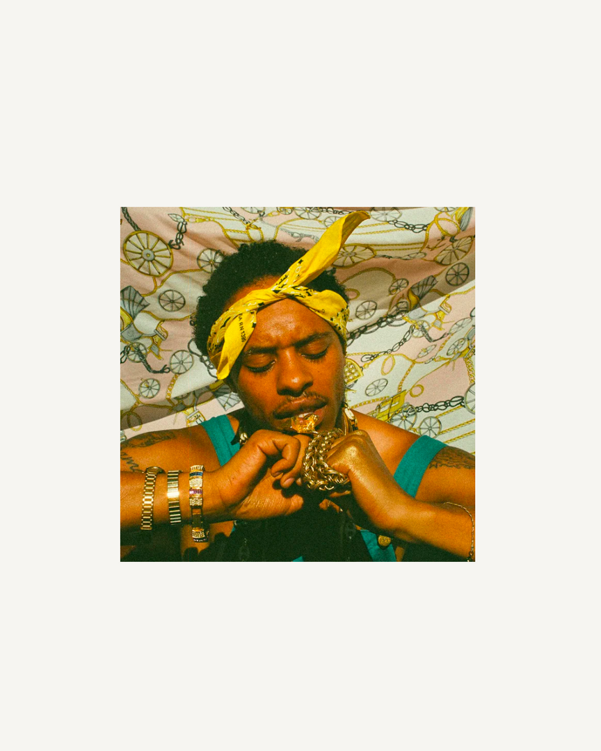 Pink Siifu – Ensley LP, Album 2022 (Limited Edition Blue Splatter Vinyl) (Sealed)