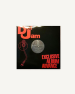 Load image into Gallery viewer, DMX - Flesh Of My Flesh, Blood Of My Blood LP, Advance Album, Promo Copy