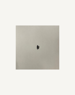 Load image into Gallery viewer, Boldy James x Real Bad Man – Adu 2 (2025)