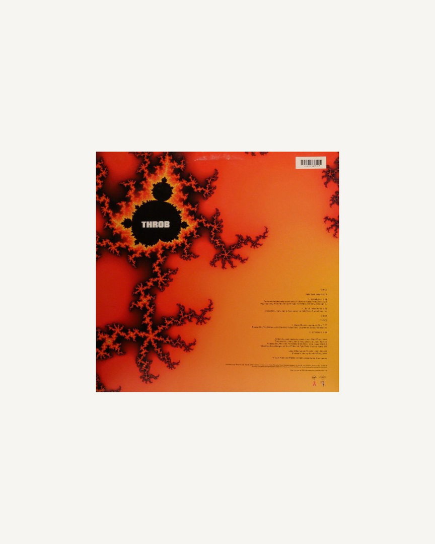 Janet Jackson - Any Time, Any Place / Throb (12" Single) US 1993