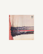 Load image into Gallery viewer, Beastie Boys – Licensed To Ill LP, Gatefold, Reissue, EU 1998