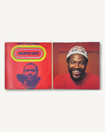 Load image into Gallery viewer, Marvin Gaye - Anthology LP, Album 1974
