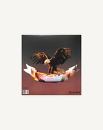 Load image into Gallery viewer, Travis Scott – Birds In The Trap Sing Mcknight LP, US 2016 (Cover Defect)
