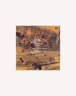 Load image into Gallery viewer, Nas - Illmatic LP, Reissue
